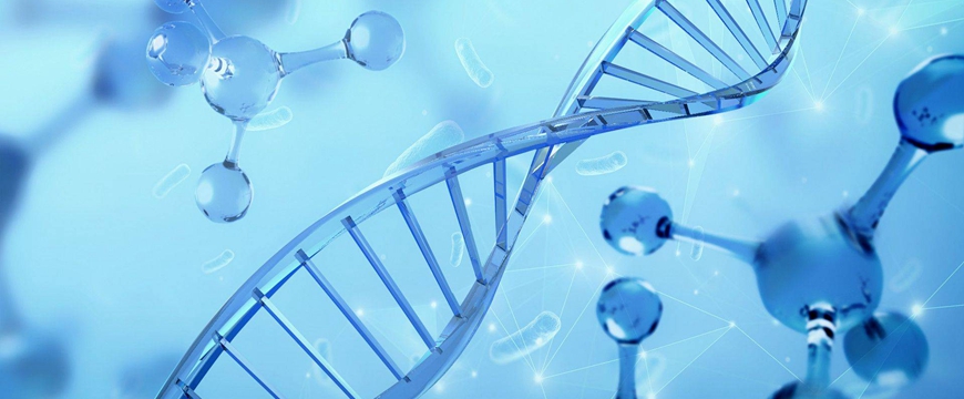 探药新途-乳腺癌靶向药物及分子分型选择治疗方案与基因检测