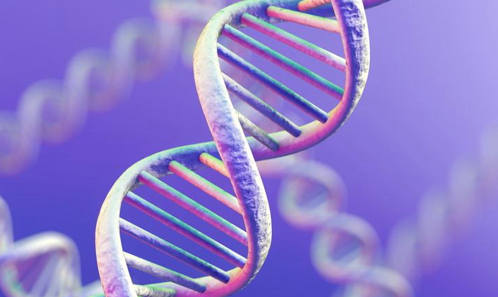 维迪西妥单抗联合方案一线治疗晚期尿路上皮癌获药监局受理