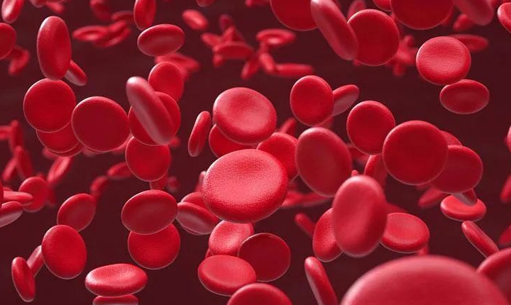 化疗期间血常规化验单怎么看？3个指标要特别注意！