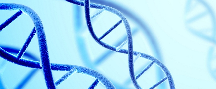 【肺癌】第三代靶向药物甲磺酸哆希替尼片招募EGFR 敏感突变肺癌患者